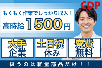 https://dq4xgl.media.saiyo-job.jp/contents/data/a58fa2c4-ea06-46d4-884f-c7d252927296