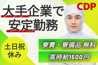 https://dq4xgl.media.saiyo-job.jp/contents/data/e3c2030c-45ee-47da-97cd-f23ec057d1eb
