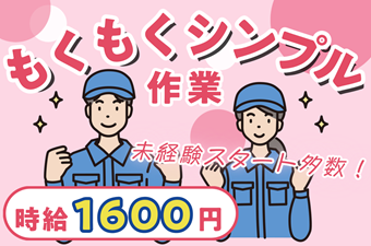https://dq4xgl.media.saiyo-job.jp/contents/data/fe298042-f145-4032-b6cf-1d2654b2330b